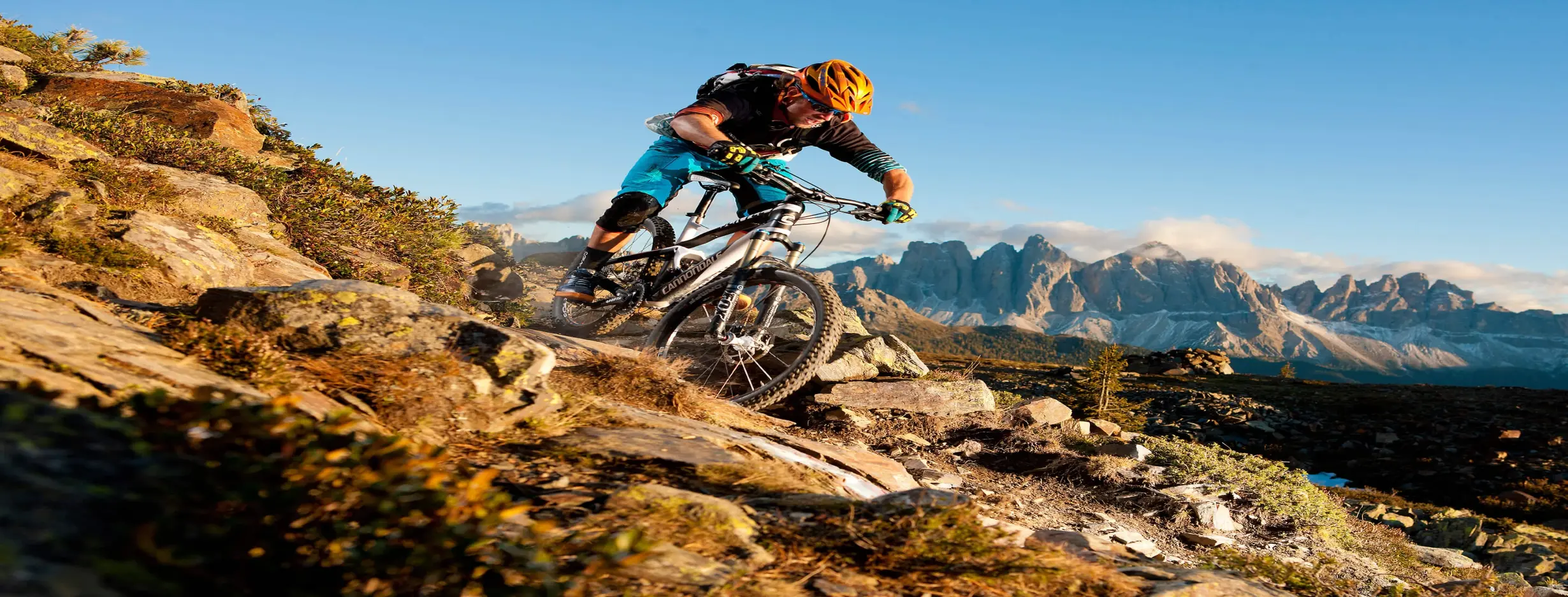 Image for Mountain Biking